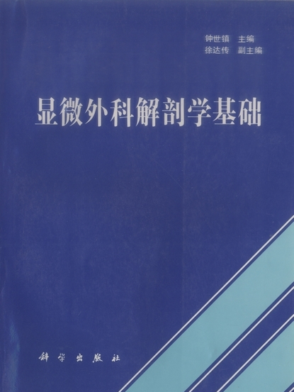 顯微外科解剖學基礎