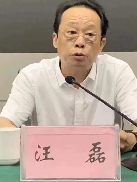 汪磊(江西省鷹潭市政府辦公室原二級巡視員)