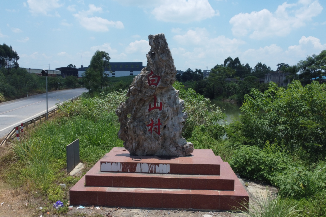 白山村(廣西壯族自治區來賓市興賓區橋鞏鎮下轄村)