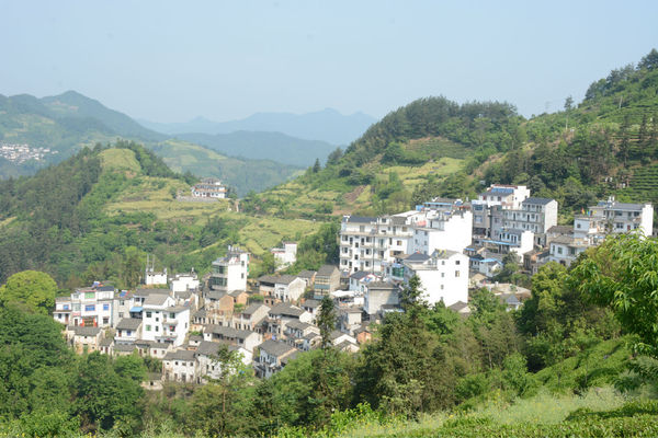 城東村(河北邢台市清河縣葛仙莊鎮下轄村)