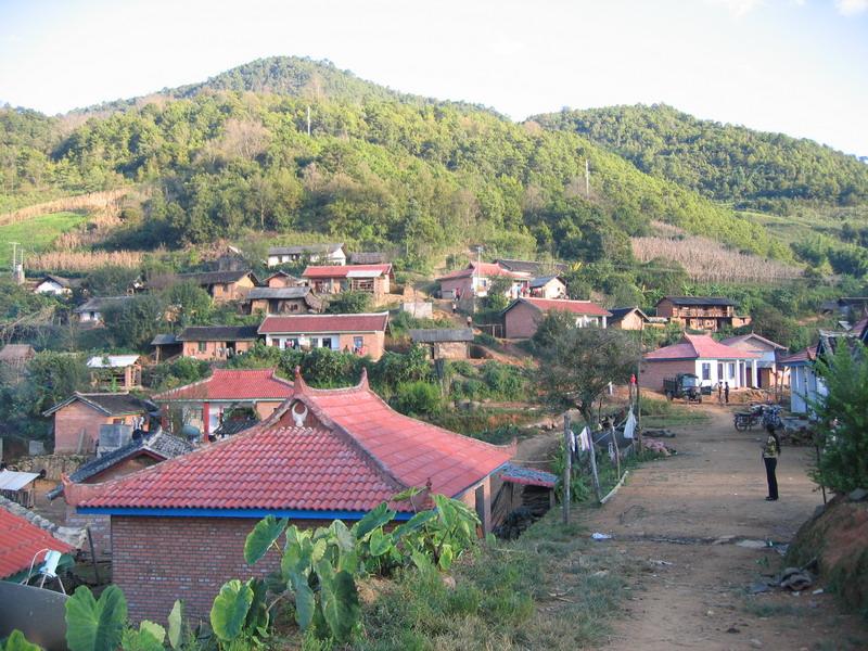 村莊全景