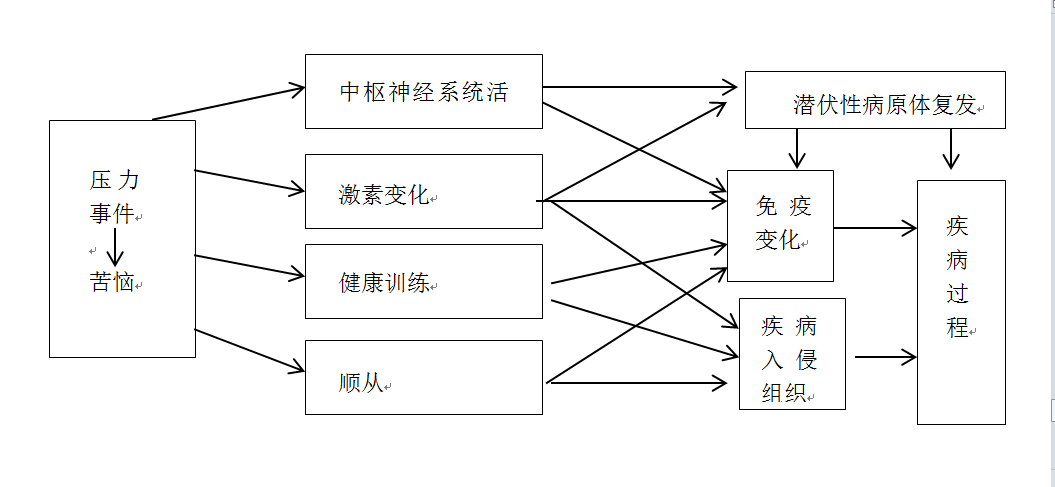 應激疾病生物學理論