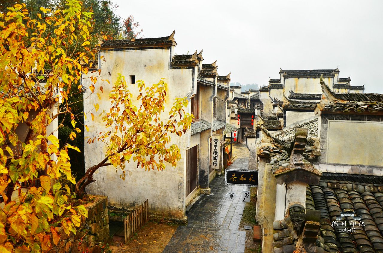 秀里村(湖南省郴州市桂陽縣方元鎮下轄村)