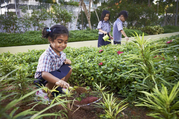 開封伊橋國際幼兒學校