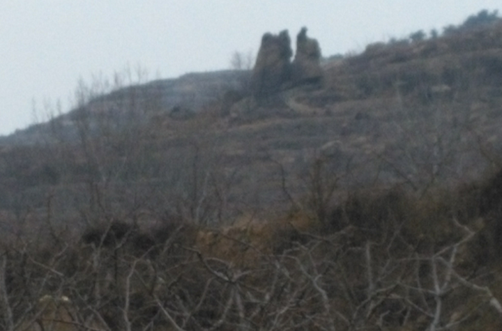 高都鎮(山東省臨沂市蒙陰縣高都鎮)