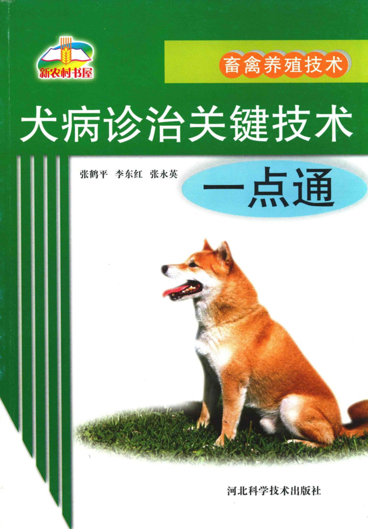 犬病診治關鍵技術一點通