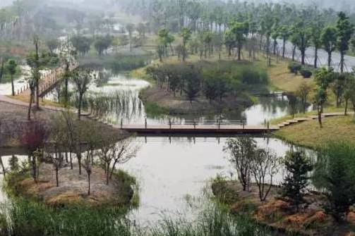 蘇州水八仙生態文化園