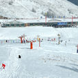 神農架旅遊滑雪場