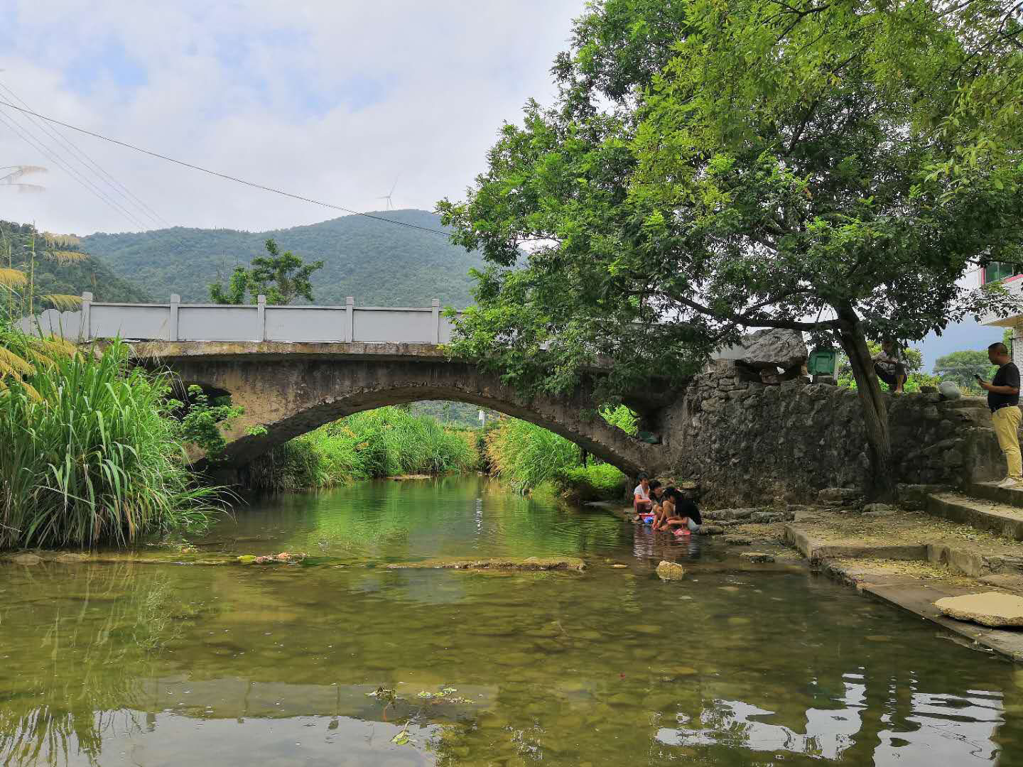 大雅村