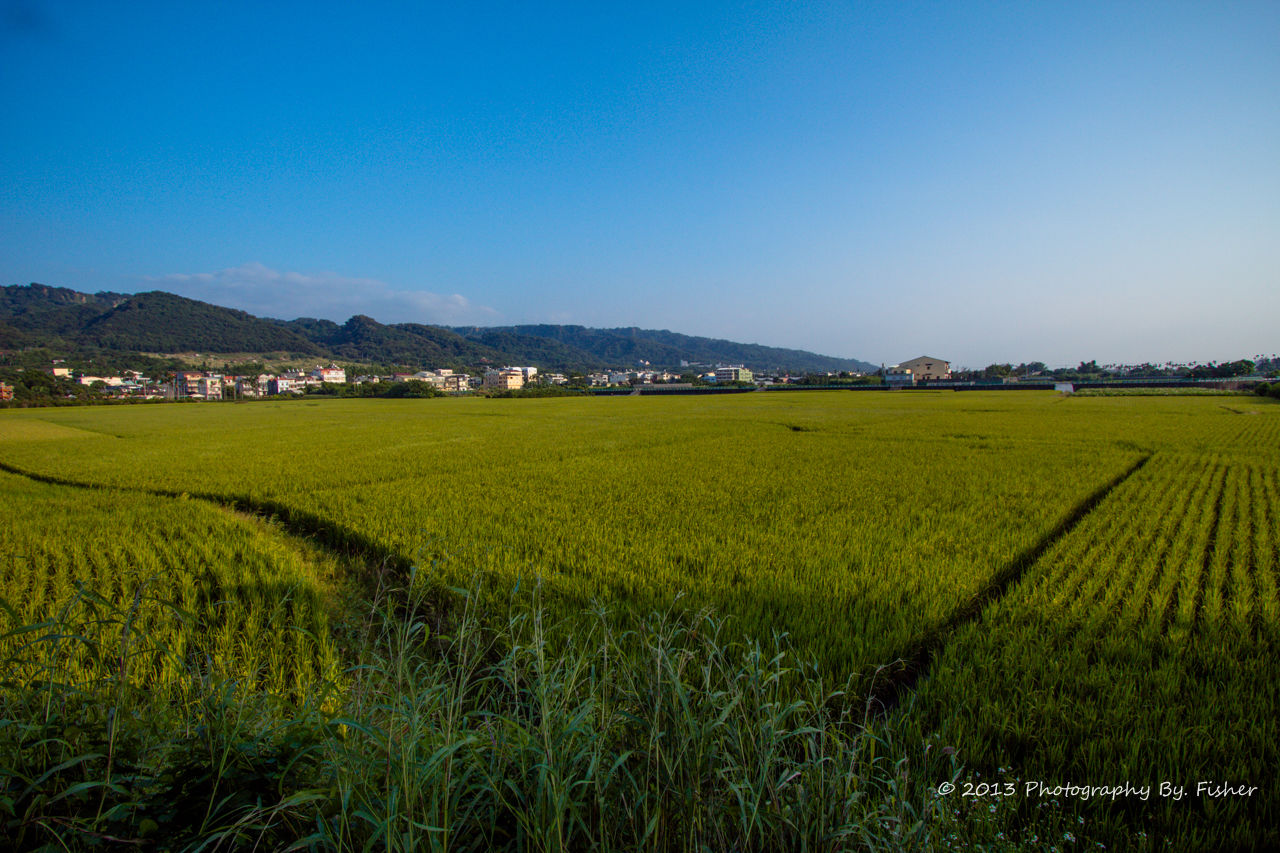 田中鎮