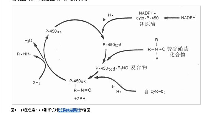 藥物還原過程