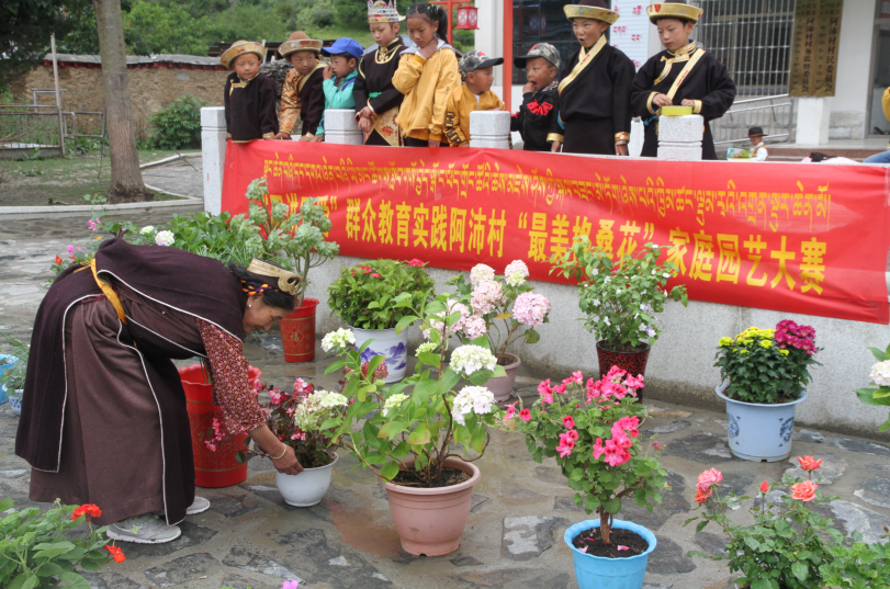 2018年7月18日阿沛村“最美格桑花”阿沛村家庭園藝大賽