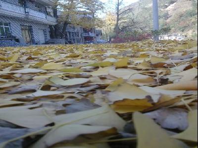 鶴里村