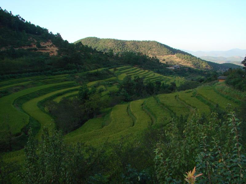 山王廟村