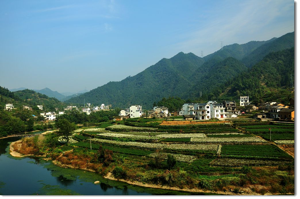 三棵樹村(雲南景東縣林街鄉下轄村)