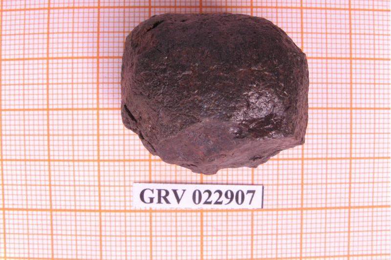南極隕石GRV022907