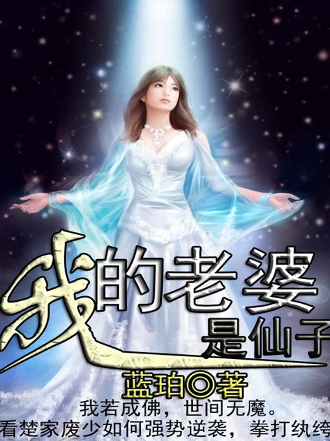 我的老婆是仙子(藍珀的小說)