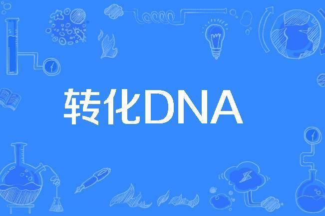 轉化DNA