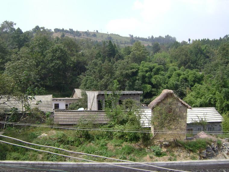 岩口自然村(坡頭彝族苗族白族鄉德隆行政村下轄自然村)