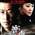 密使(2012年于震、陳紫函主演電視劇)