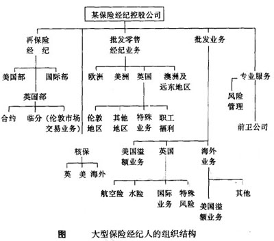 大型保險經紀人