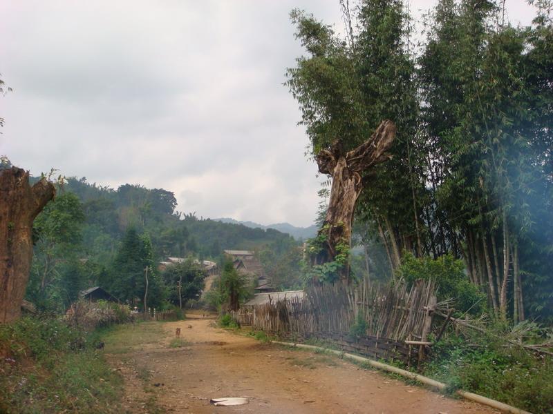 雲南省滄源佤族自治縣勐來鄉曼來村進村道路