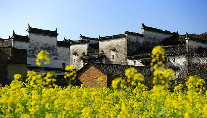 延村(陝西鹹陽市永壽縣甘井鎮延村)