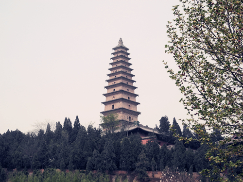 普救寺(山西省永濟市普救寺)