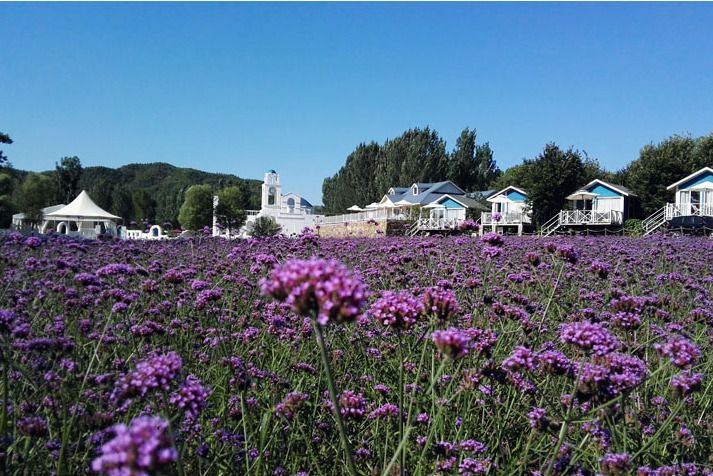 紫海香堤香草藝術莊園