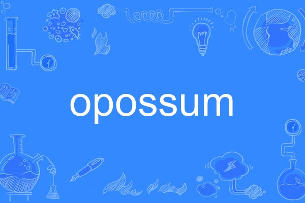 opossum