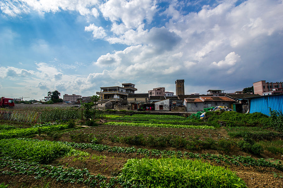 平山村(雲南省文山州廣南縣蓮城鎮平山村)