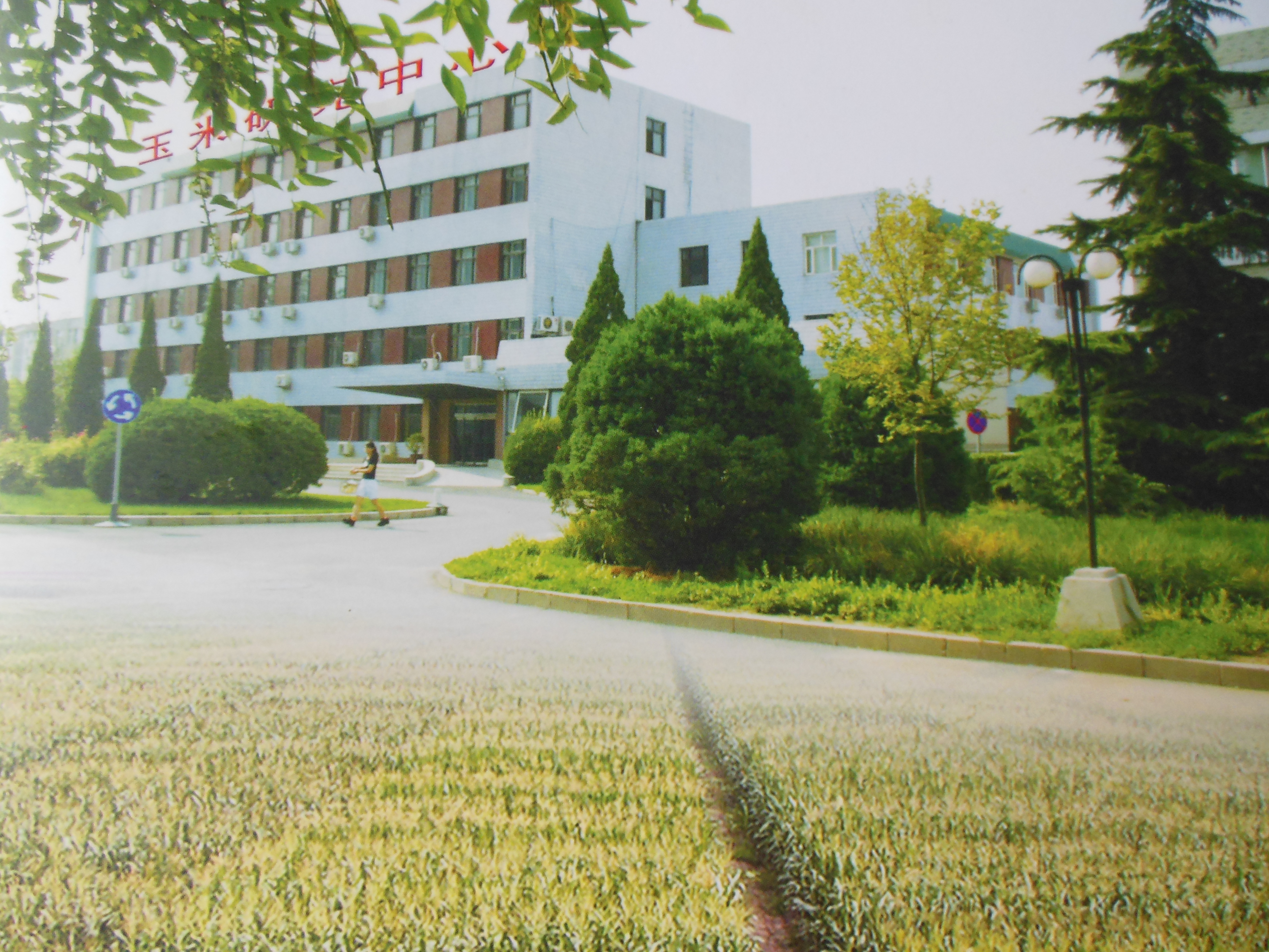 北京市農林科學院玉米研究中心