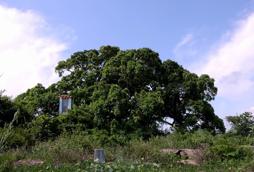 馬山村(廣東省珠海市乾務鎮下轄村)