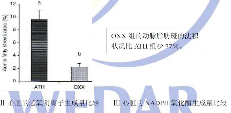 實驗圖解