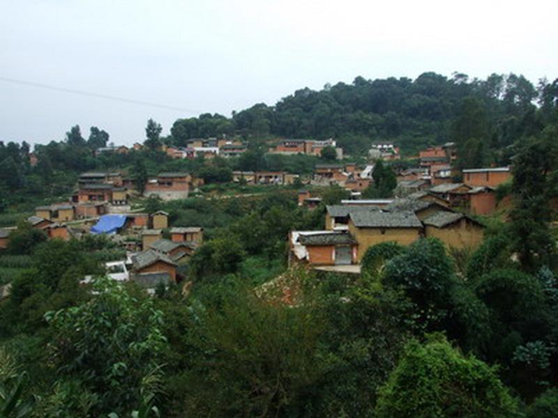 王家寨自然村(雲南省鳳慶縣三岔河鎮下轄村)