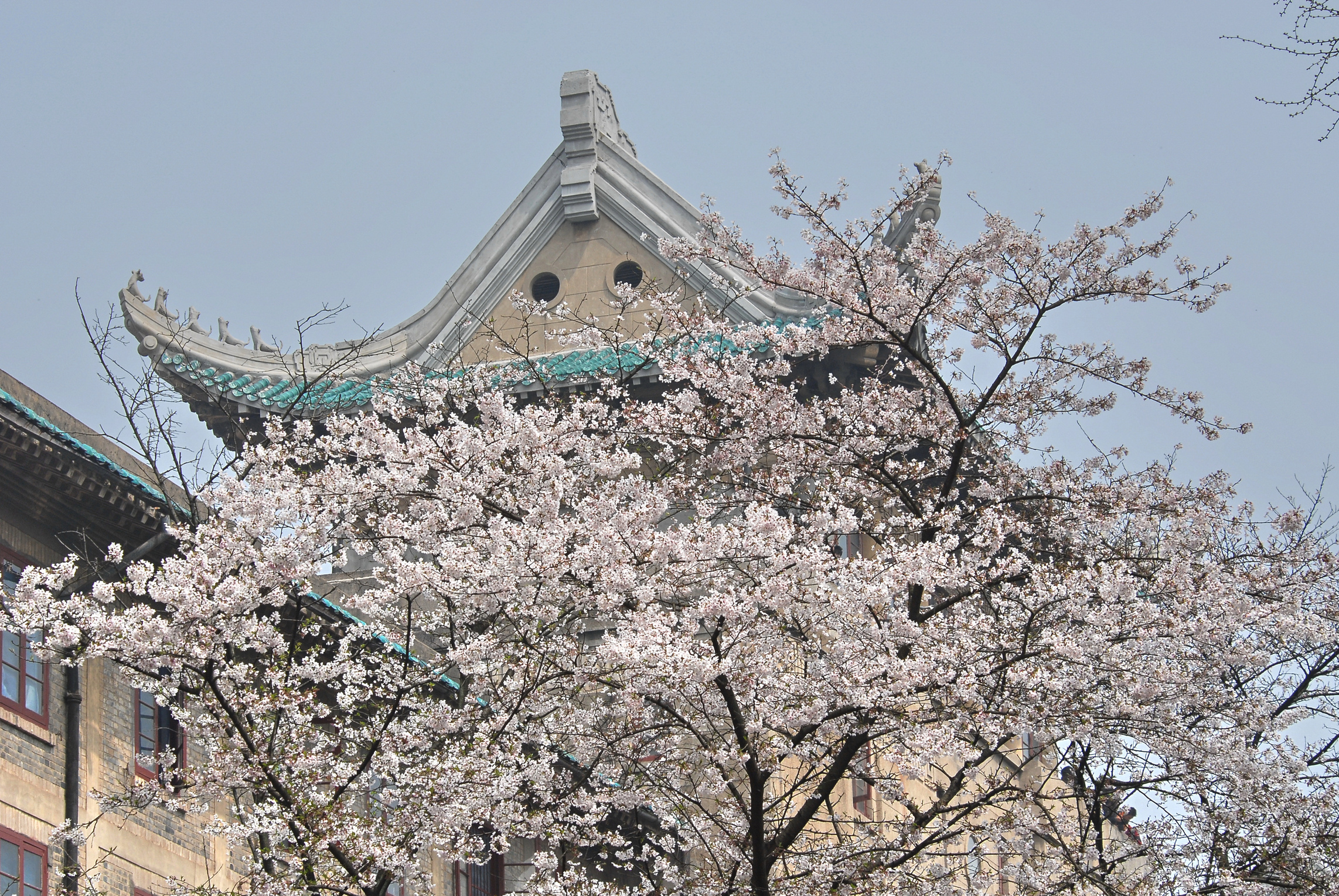 武漢大學電氣與自動化學院