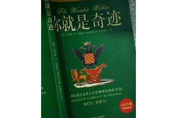 你就是奇蹟(2004年中國社會出版社出版的圖書)