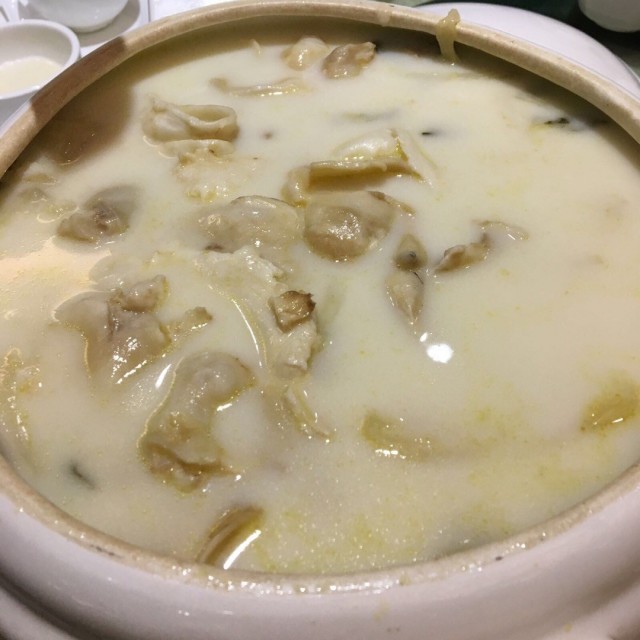 杏汁燉花膠白肺