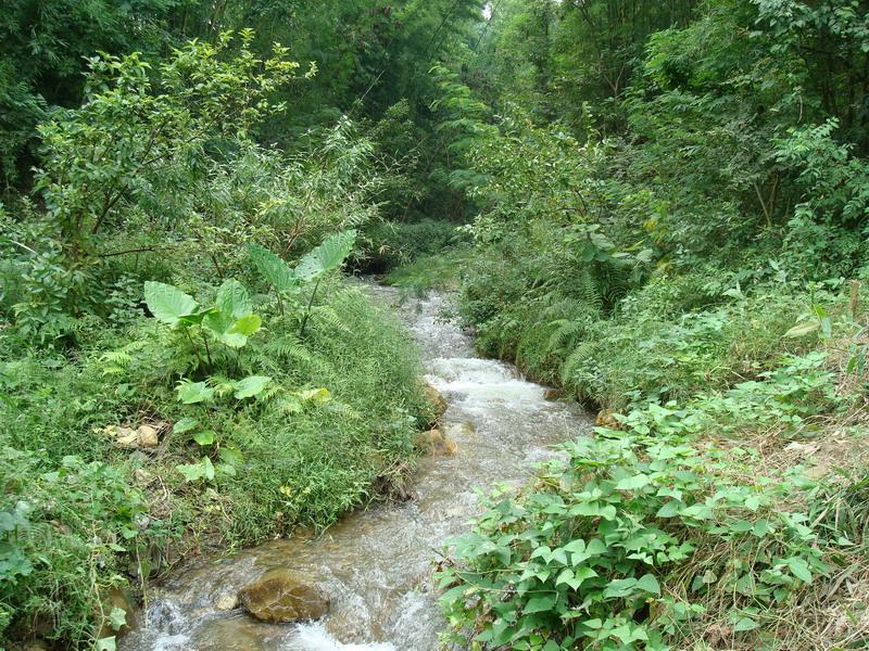 麻山自然村過境小河流