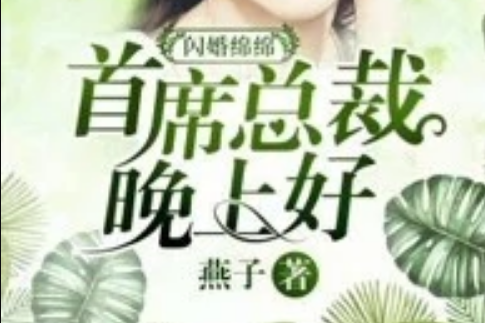 閃婚綿綿：首席總裁，晚上好