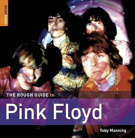 The Rough Guide to Pink Floyd (Rough Guide Music Guides)