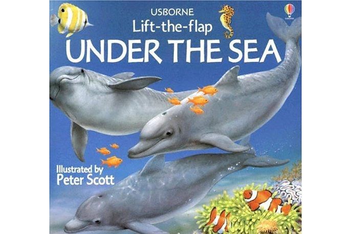 Under the Sea (Usborne Lift-the-Flap)