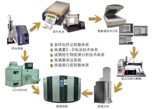 蛋白質組學新技術