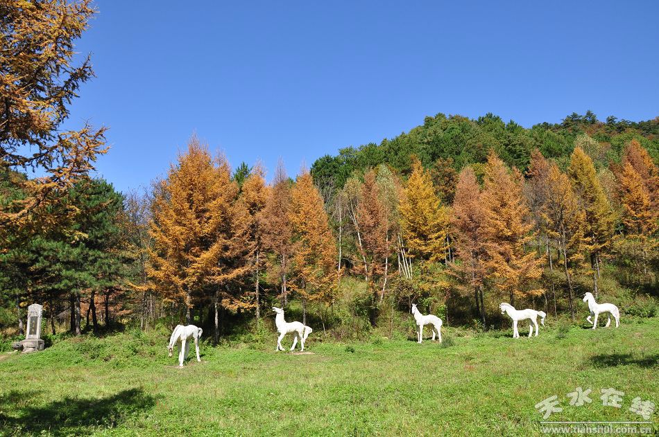 天水牧馬灘