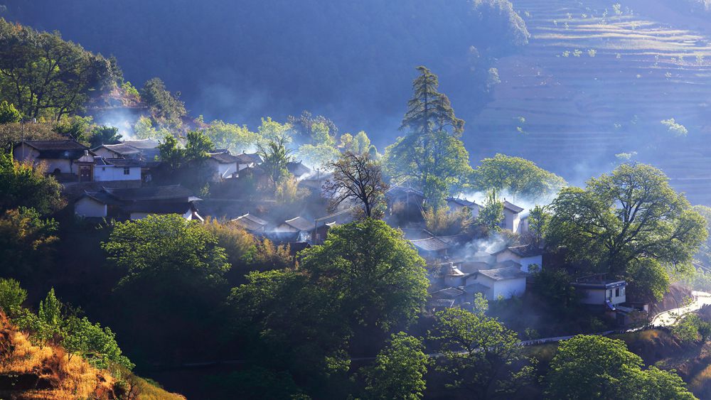 小桃樹村(雲南省尋甸縣柯渡鎮下轄村)