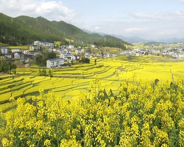 萬源市白沙鎮貓兒壩村