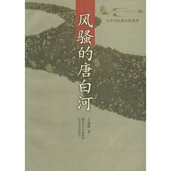 風騷的唐白河(王建琳著，長江文藝出版社出版圖書)