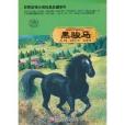 世界動物小說經典品藏系列：黑駿馬