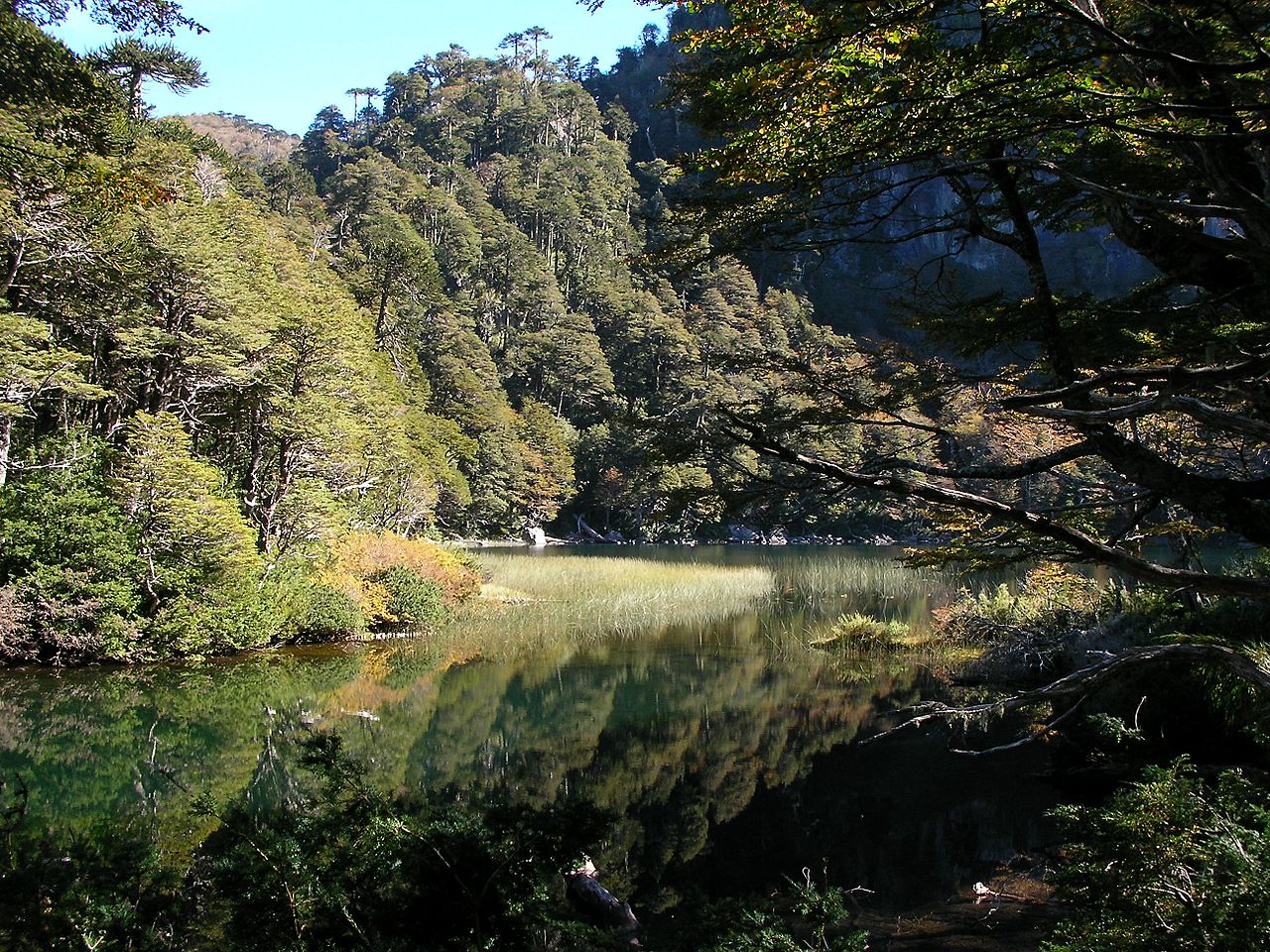 韋爾克韋國家公園