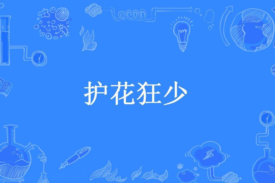 護花狂少(梁帥所著小說)